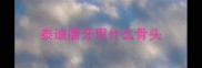 泰迪磨牙用什么骨头