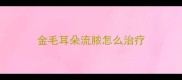 金毛耳朵流脓怎么治疗