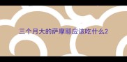 三个月大的萨摩耶应该吃什么