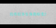 拉布拉多生身高标准