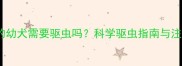 两个月大的幼犬需要驱虫吗科学驱虫指南与注意事项全