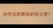 如何买到赛级的哈士奇