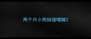 两个月小狗抽搐嗜睡