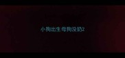 小狗出生母狗没奶