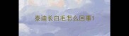 泰迪长白毛怎么回事