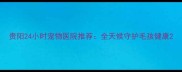 贵阳24小时宠物医院推荐全天候守护毛孩健康