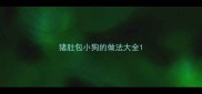 猪肚包小狗的做法大全