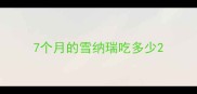 7个月的雪纳瑞吃多少