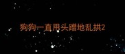 狗狗一直用头蹭地乱拱