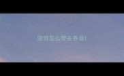 宠物怎么带去香港