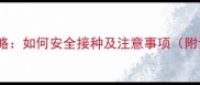 狗狗疫苗全攻略如何安全接种及注意事项附详细流程图
