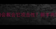 小狗行为矫正必看打狗会教会它攻击性新手养狗人必学的5个正向训练法