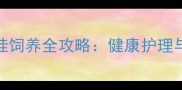 两个月大吉娃娃饲养全攻略健康护理与行为训练指南