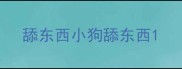 舔东西小狗舔东西