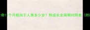 哈士奇11个月相当于人类多少岁附成长全周期对照表附视频