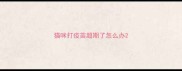 猫咪打疫苗超期了怎么办