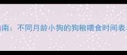 科学喂养指南不同月龄小狗的狗粮喂食时间表与营养需求