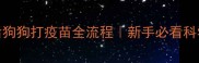 断奶后狗狗打疫苗全流程新手必看科学指南