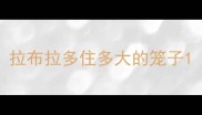 拉布拉多住多大的笼子
