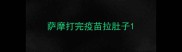 萨摩打完疫苗拉肚子