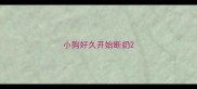 小狗好久开始断奶