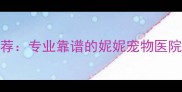泉州宠物医院推荐专业靠谱的妮妮宠物医院守护毛孩健康
