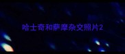 哈士奇和萨摩杂交照片