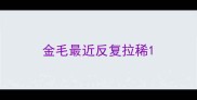 金毛最近反复拉稀