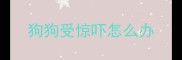 狗狗受惊吓怎么办