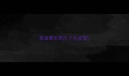 泰迪要长到几个月定型