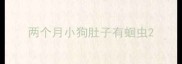 两个月小狗肚子有蛔虫