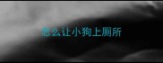 怎么让小狗上厕所