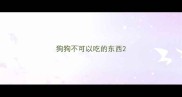 狗狗不可以吃的东西