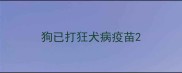 狗已打狂犬病疫苗