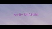 哈士奇一共有几种颜色