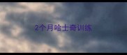 2个月哈士奇训练