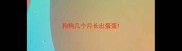 狗狗几个月长出蛋蛋