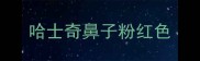 哈士奇鼻子粉红色