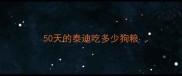 50天的泰迪吃多少狗粮