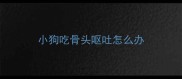 小狗吃骨头呕吐怎么办
