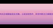 拉布拉多健康鉴别全攻略从症状到养护科学判断犬只健康状态