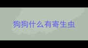 狗狗什么有寄生虫