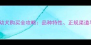 西安哈士奇幼犬购买全攻略品种特性正规渠道与饲养建议