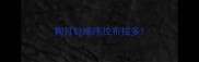 狗打针顺序拉布拉多