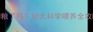三个月德牧开始吃狗粮了吗幼犬科学喂养全攻略附成长时间表