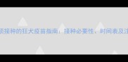 猫咪必须接种的狂犬疫苗指南接种必要性时间表及注意事项