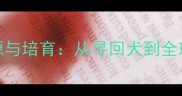 拉布拉多犬的起源与培育从寻回犬到全球宠物的血统之谜