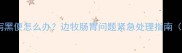 边境牧羊犬腹泻黑便怎么办边牧肠胃问题紧急处理指南附真实案例