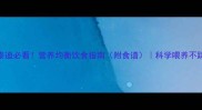 1岁泰迪必看营养均衡饮食指南附食谱科学喂养不踩坑