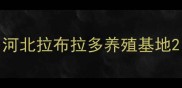 河北拉布拉多养殖基地